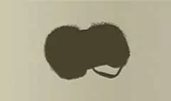 Muff silhouette