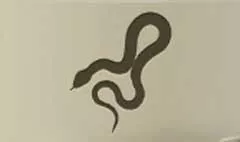 Snake silhouette