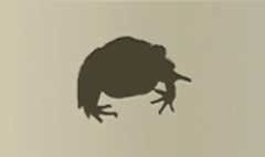 Toad silhouette