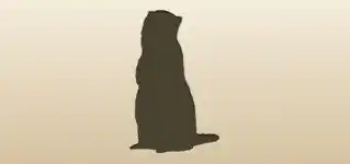 フェレットのシルエット