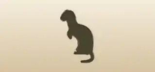 フェレットのシルエット