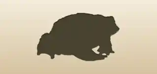 ヒキガエルのシルエット