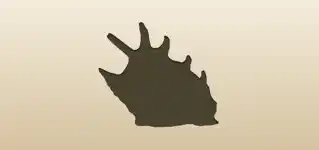 貝殻のシルエット