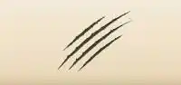 Scratches