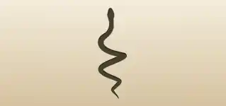 ヘビのシルエット