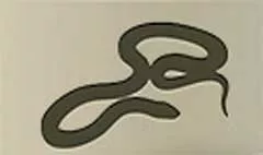 Snake silhouette