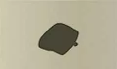 Purse silhouette