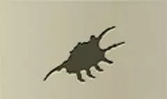 Shell silhouette