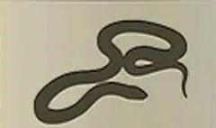 Snake silhouette
