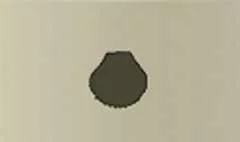 Shell silhouette