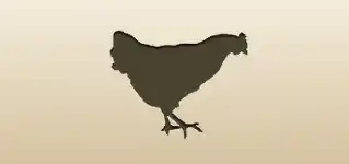 Hen