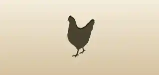 Hen