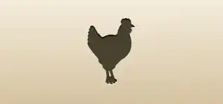 Hen