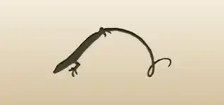 Lizard