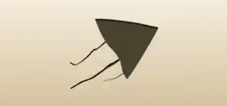 Kite