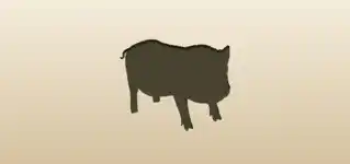 Piggy