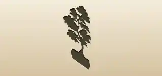 Bonsai