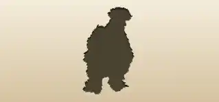 Hen