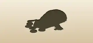 Coin Sack