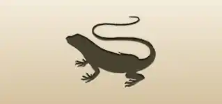 Lizard