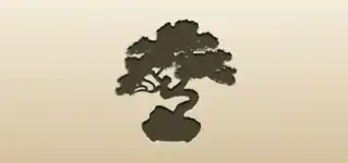 Bonsai