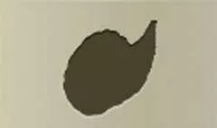 Cornucopia