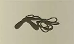 Jump Rope