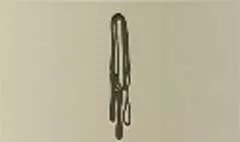 Jump Rope
