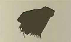 Blanket