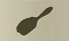 Hair Brush