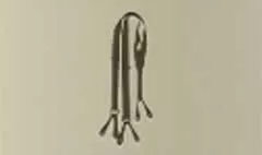 Suspenders