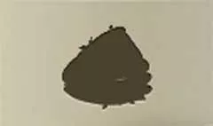 Baseball Glove