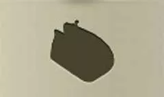 Coin Purse