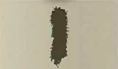 Feather Boa
