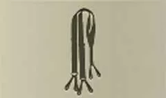 Suspenders