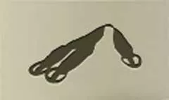Suspenders
