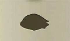 Coin Purse