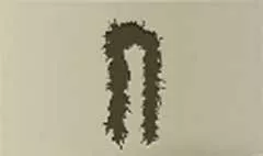 Feather Boa