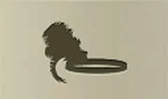 Feather Headband