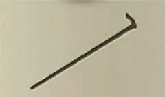 Cane