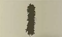 Feather Boa