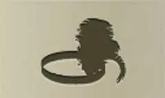 Feather Headband
