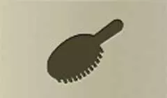 Hair Brush