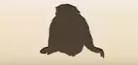 サル