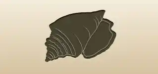 Shell