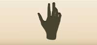 Palmist's Hand silhouette