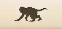 サル