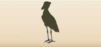Shoebill Bird silhouette