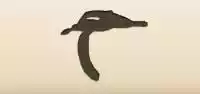 バナナの皮