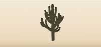 Cactus silhouette